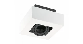 Lámpa Mennyezeti lámpatest ASTER, AC220-240V, 50/60 HZ, GU10, MAX.20W, IP20, alumínium, egy, fehér